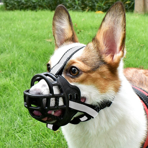 Dog Muzzle, Basket Muzzle for Biting, Chewing and Scavenging, Humane Cage Mouth Cover, Perfect for Grooming and Training Large Aggressive Reactive Dogs